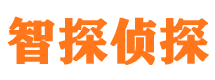 延川外遇调查取证